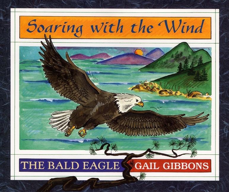 Soaring with the Wind: The Bald Eagle