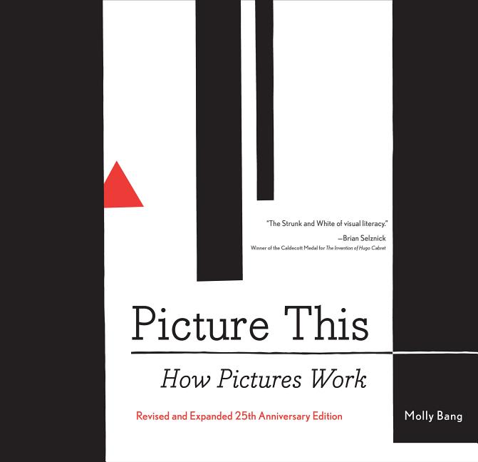 Picture This: How Pictures Work