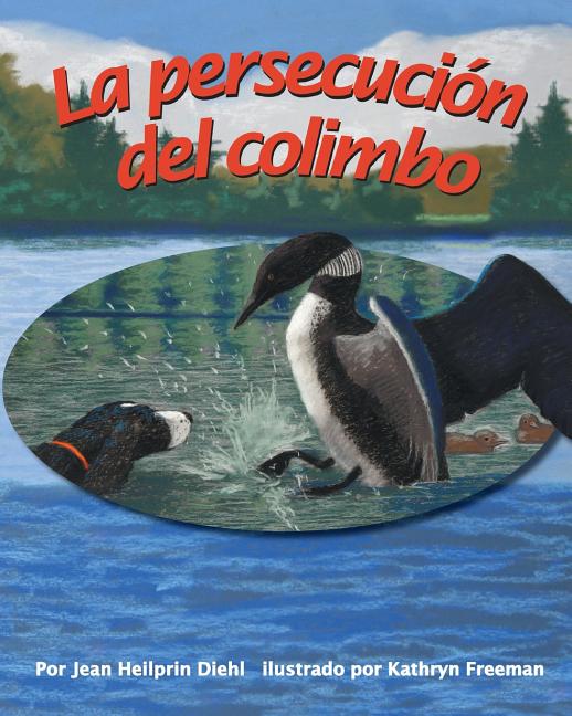 La persecución del colimbo