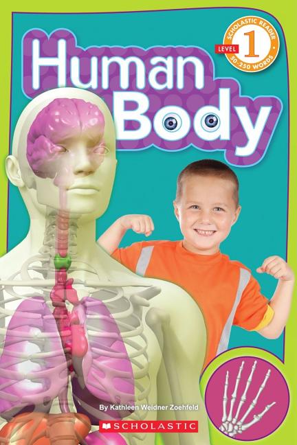 Human Body