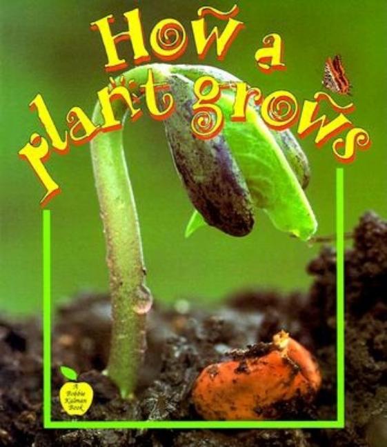 How a Plant Grows