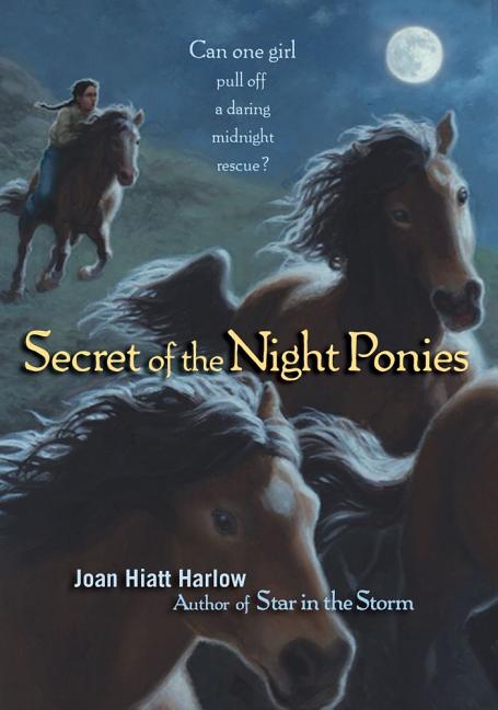 Secret of the Night Ponies