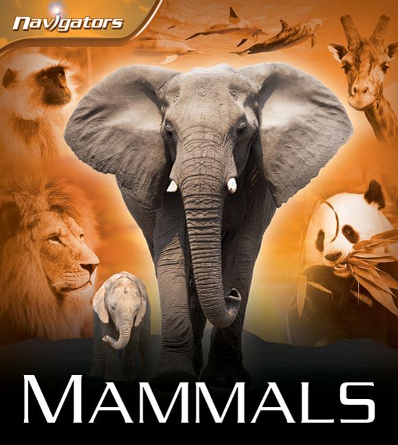 Mammals