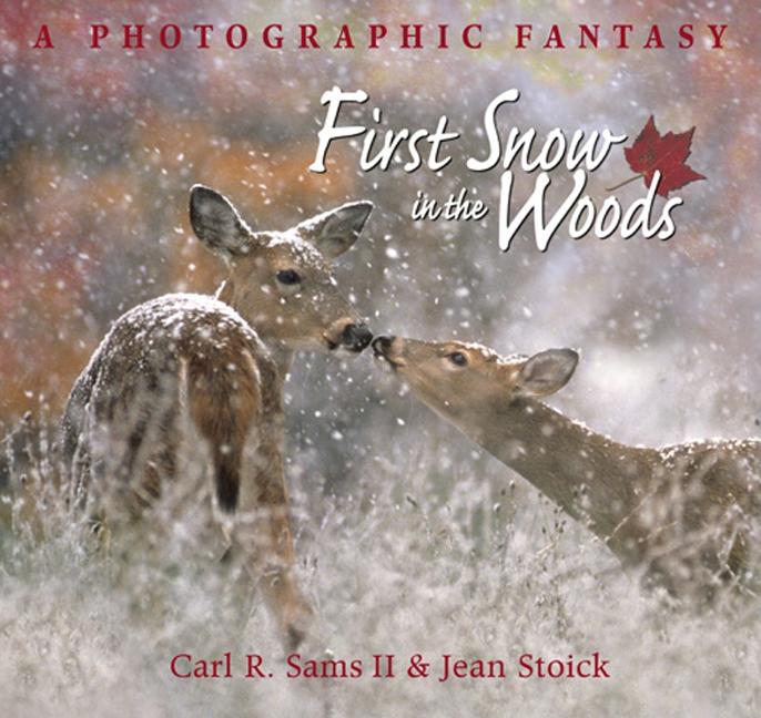 First Snow in the Woods: A Photographic Fantasy