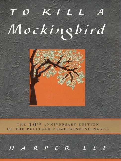 to kill a mockingbird word search