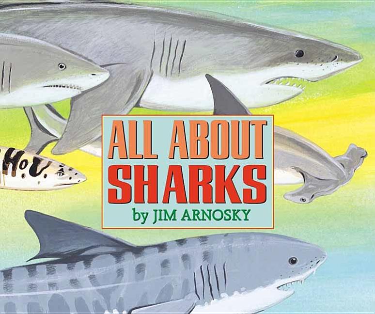 All about Sharks