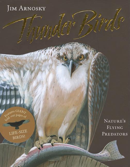 Thunder Birds: Nature's Flying Predators