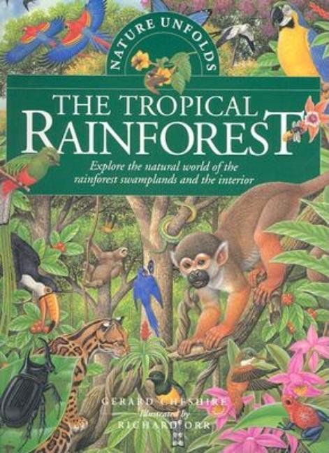 The Tropical Rainforest