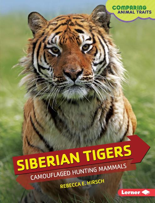 Siberian Tigers: Camouflaged Hunting Mammals