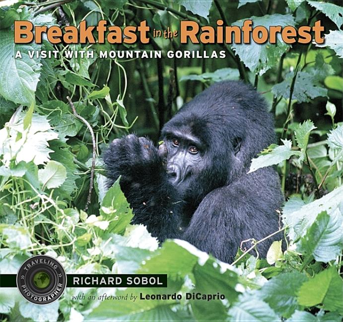 Breakfast in the Rainforest: A Visit with Mountain Gorillas