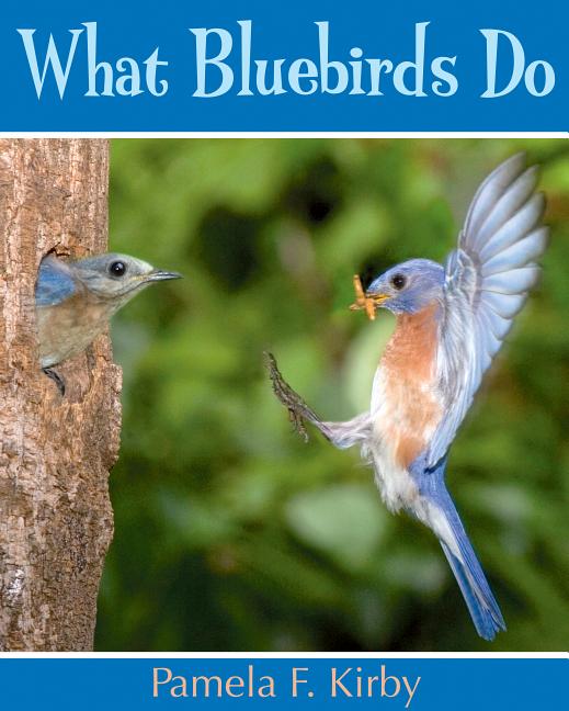 What Bluebirds Do