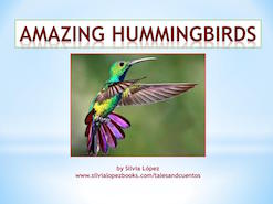 Amazing Hummingbirds