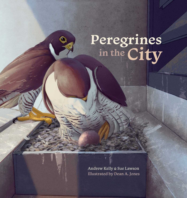 Peregrines in the City